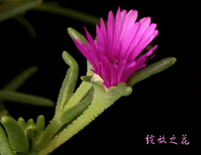 400_308gif 动态图 动图