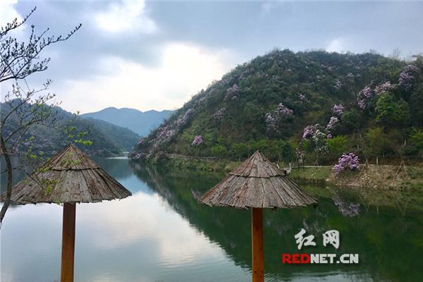 美!双牌阳明山万和湖每月景色变幻