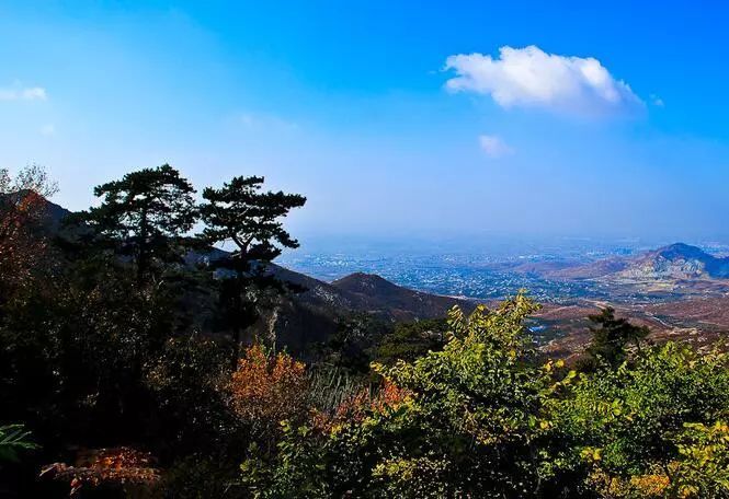 莫负春光,最美人间四月天,来营口登山踏青赏花正当时