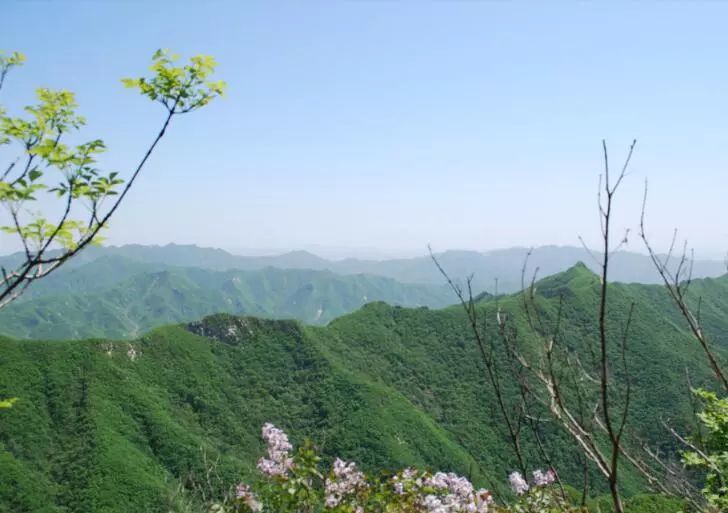 莫负春光,最美人间四月天,来营口登山踏青赏花正当时