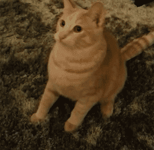 抖抖抖,抖出六亲不认的小步伐,笑点背后是?