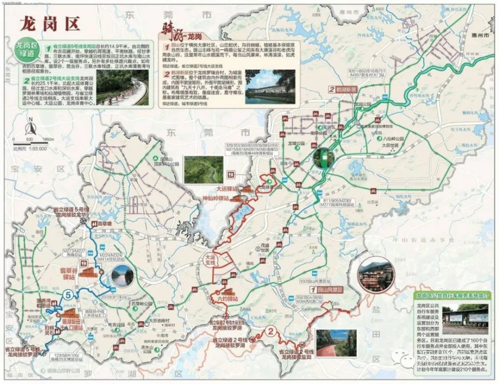 深圳各区最全绿道攻略:骑行,跑步,游玩三不误