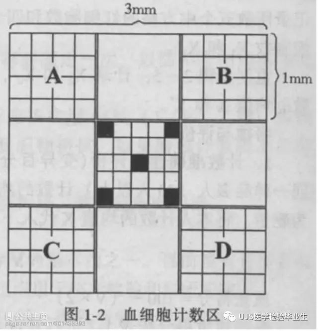 改良牛鲍血细胞计数板的使用/细胞的手工计数