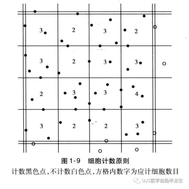 改良牛鲍血细胞计数板的使用/细胞的手工计数