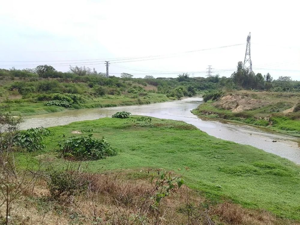 茂名茂南区山阁镇境内最长河流,瓦岭母亲河大坑与终点