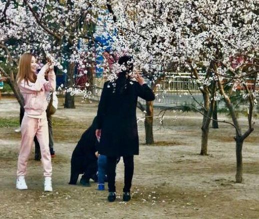 李小璐小号疑曝光,内容全是女儿日常,网友:当妈