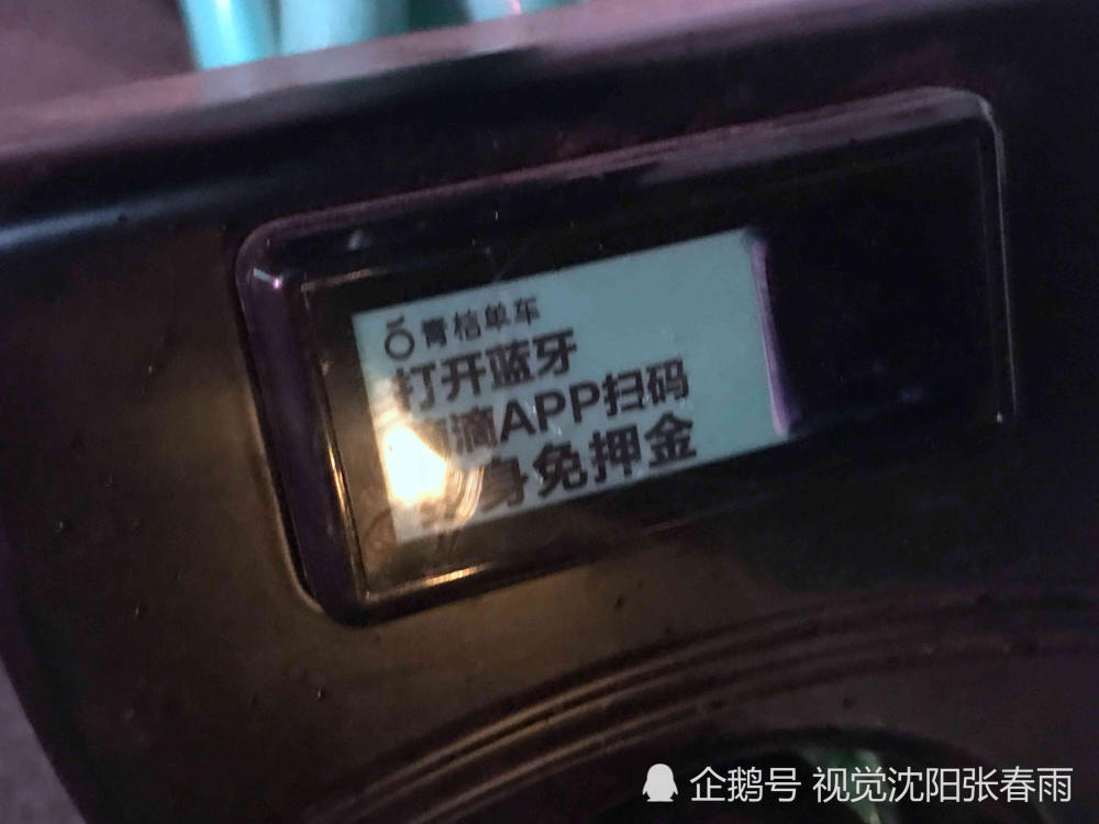 沈阳:滴滴青桔单车 被人撬锁上私锁 扫车二维