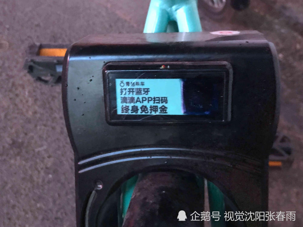 沈阳:滴滴青桔单车 被人撬锁上私锁 扫车二维