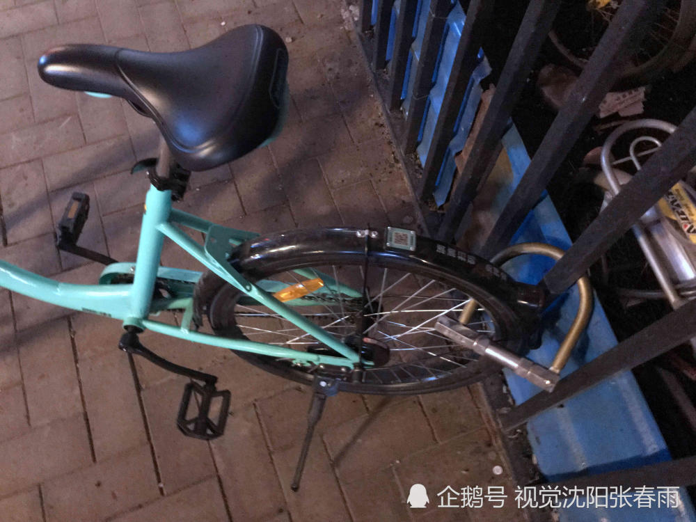 沈阳:滴滴青桔单车 被人撬锁上私锁 扫车二维