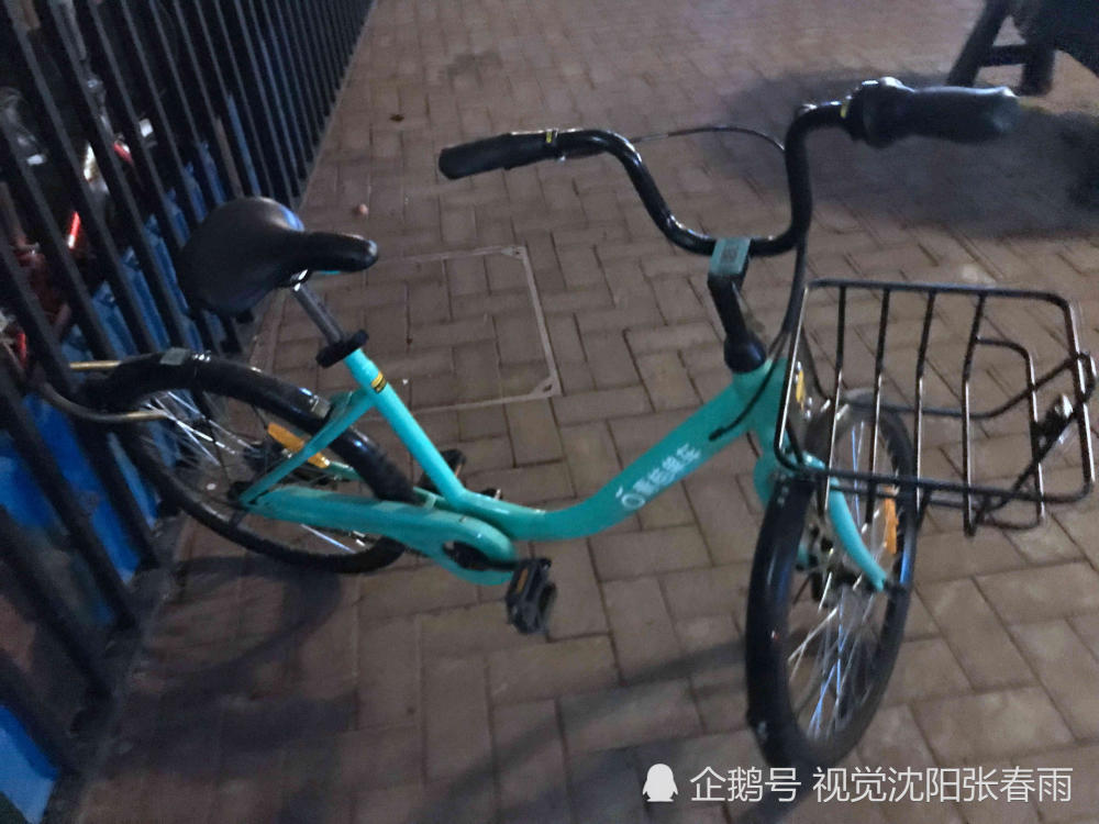 沈阳:滴滴青桔单车 被人撬锁上私锁 扫车二维