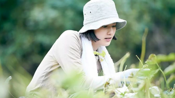 也因为这部影片一跃成为日本小清新届的女星翘楚.