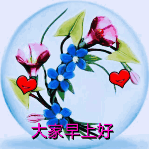 早上好!送你最全的问候表情图片!太美了!值得珍藏