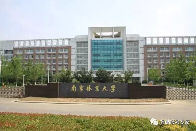 世界一流学科建设高校-南京林业大学