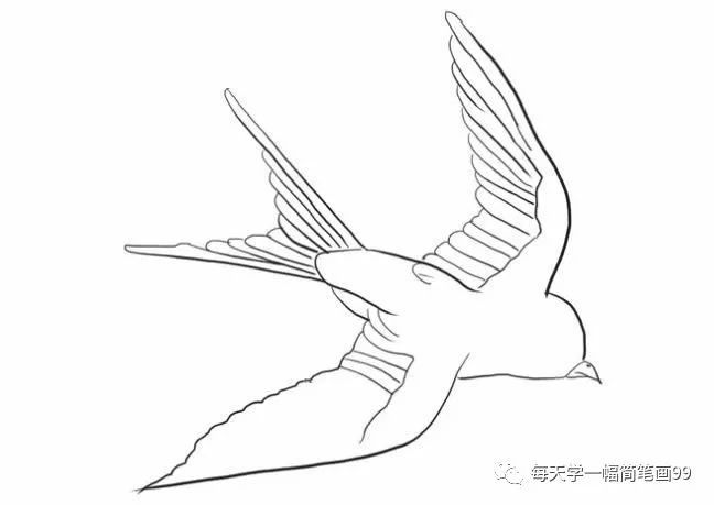 每天学一幅简笔画-小燕子简笔画步骤图解