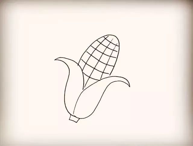 又香有甜的玉米简笔画,赶紧收藏教孩子