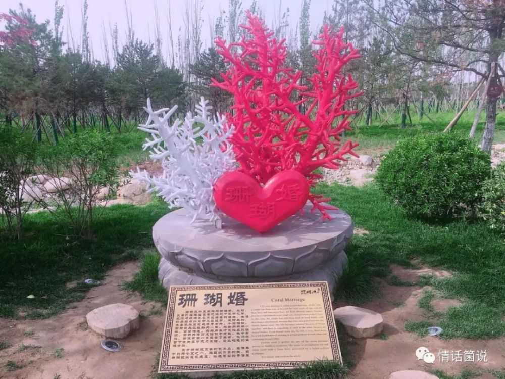 人一生26阶段的婚姻 看点快报