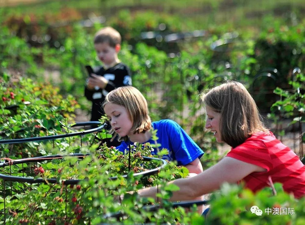 澳洲持学生签证如何打工补贴生活?全都在在这