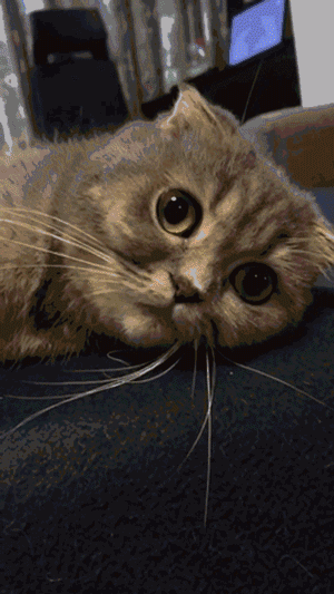 300_533 竖版 竖屏