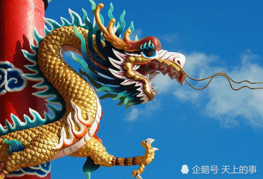 世界上真的有龙吗?龙王为什么都姓敖,营口坠龙真相是什么?