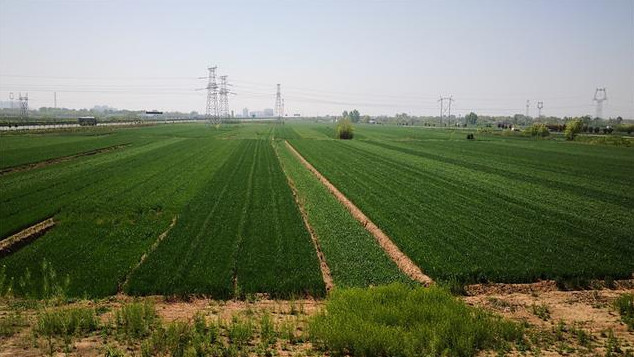 西安民警持枪杀人后自杀:作案时持两把手枪 或