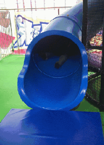 十几种滑梯玩个遍,立体迷宫里迷了路,迪士尼设计的超级游乐场我们玩了