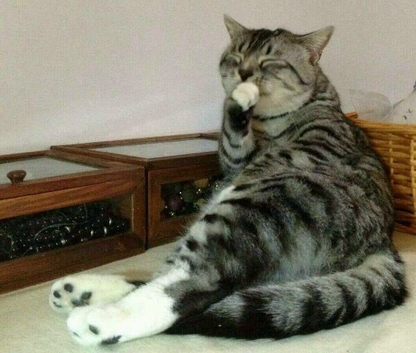 0