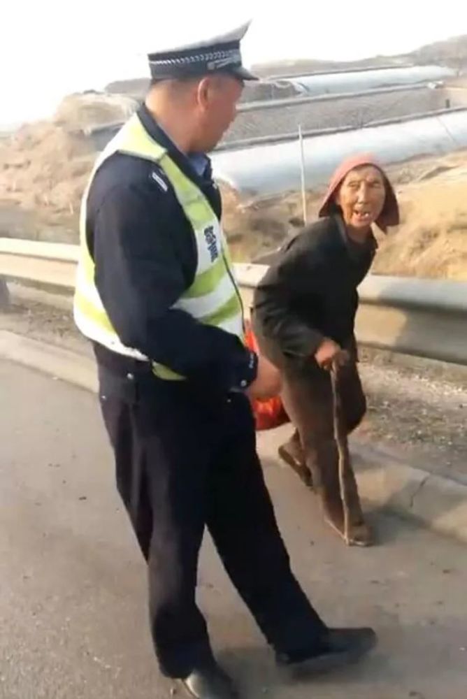 保定老人有多少人口_保定人口分布图片(2)