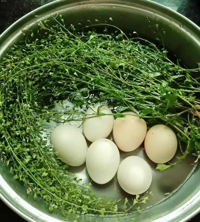 地菜煮蛋做法:1,将新鲜的鸡蛋洗净放入锅中煮熟,煮熟的蛋用冷水淋一
