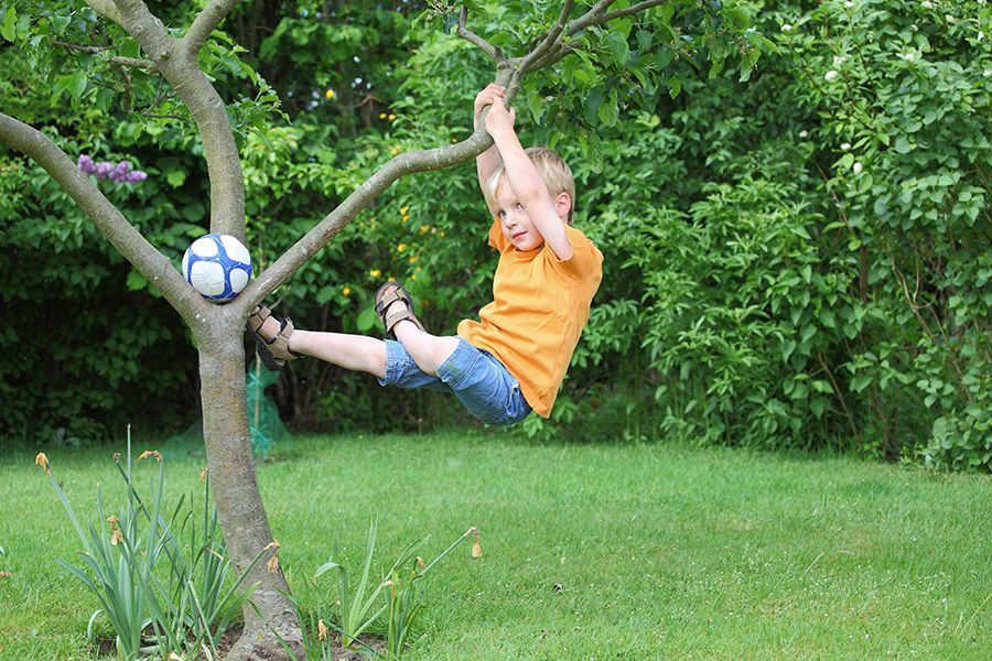 从女版马云的八字真言,谈孩子成才最需要的能