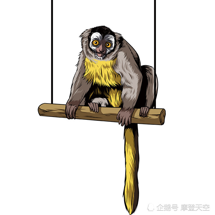 Tizzy T2018中国巡演夜行动物园曝主视觉海报