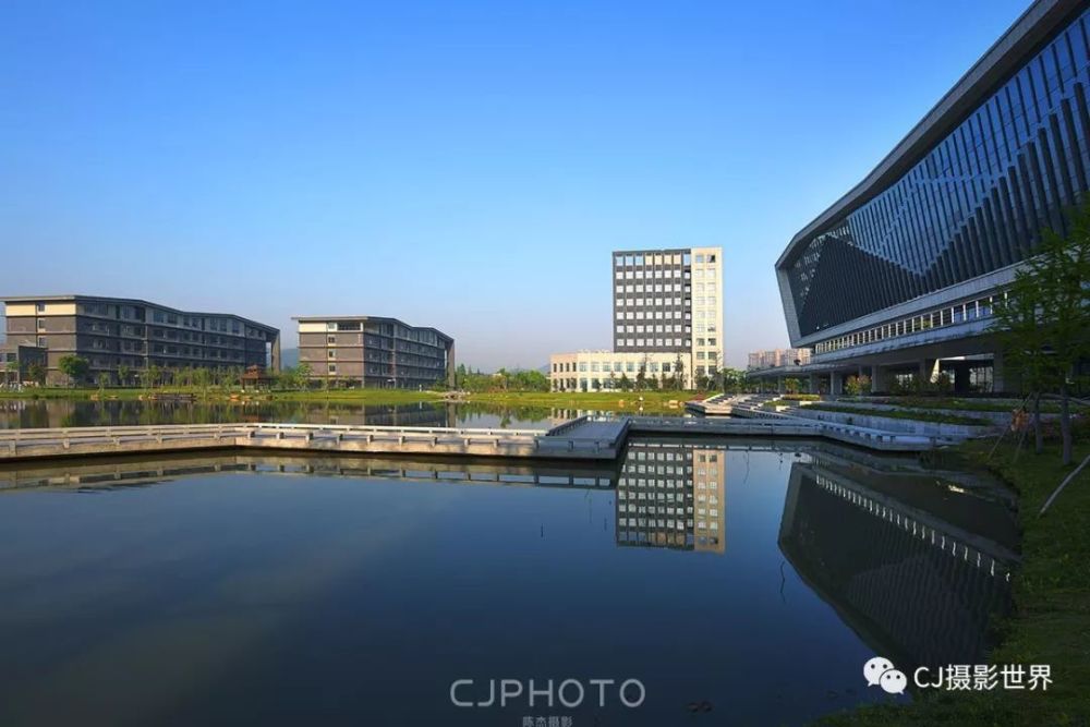 美,浙江树人大学杨汛桥校区春色