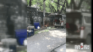 观音桥建新东路一电线突发自燃