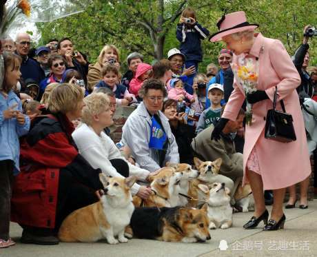 2005年5月,女王在街头受到柯基犬爱好者的簇拥.