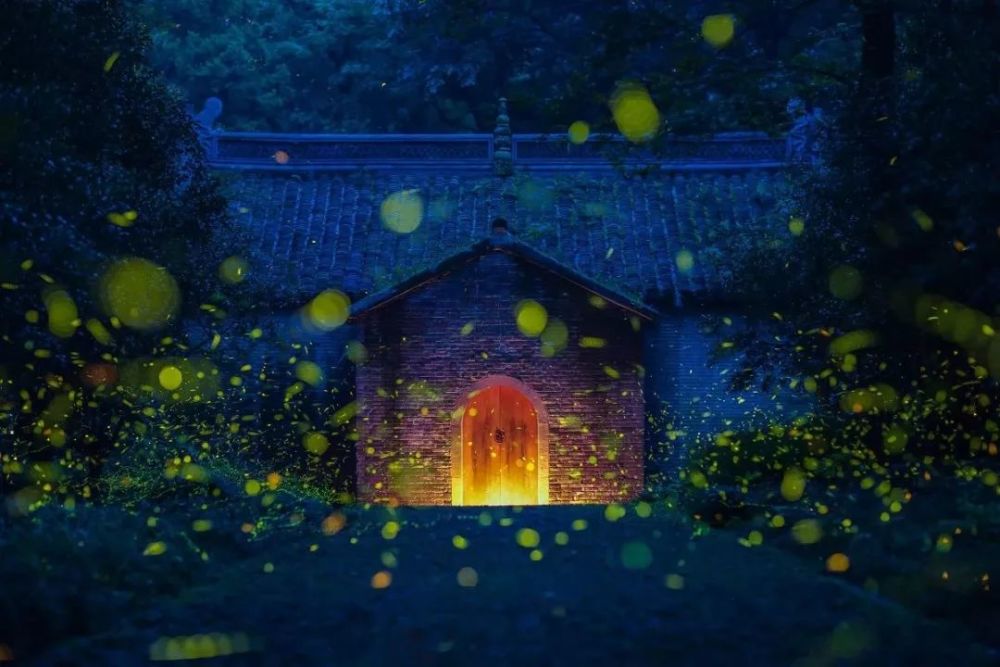 七月,你可想回到童年如同童话般唯美的萤火虫夏夜?