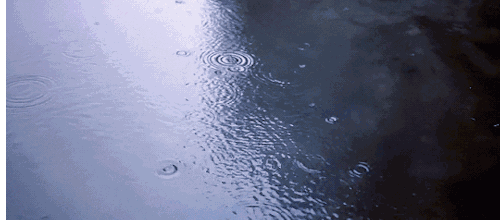 未来三天全市 天气预报 1日夜间,中西部及东南部阵雨或雷雨,江津