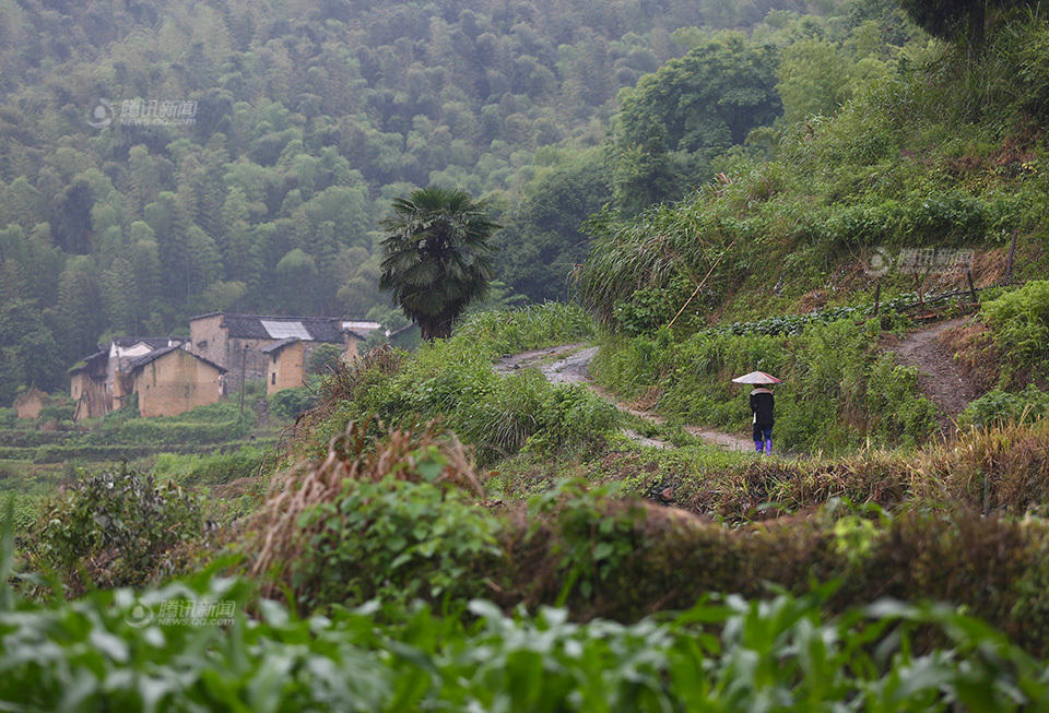 为智障儿留三缸米病母曾拒住敬老院