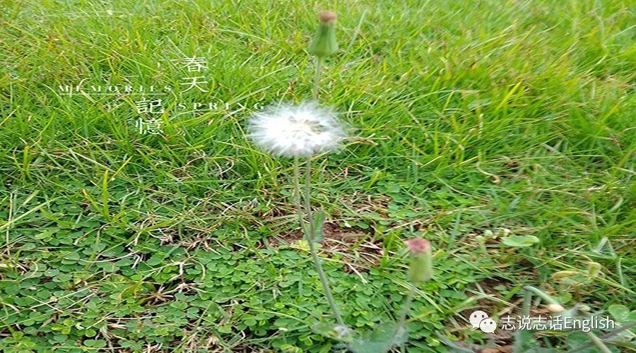 中式英语发音还有救吗 看点快报