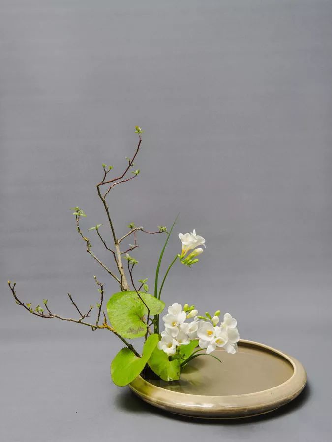 茶席之美:中式插花
