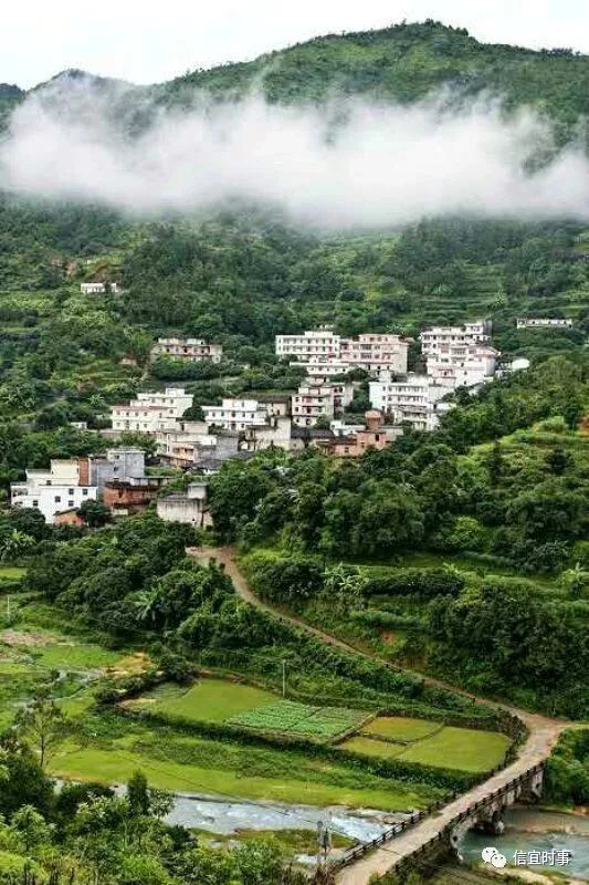 信宜市大成镇埇尾村委会高田村,是一条美丽的村庄.