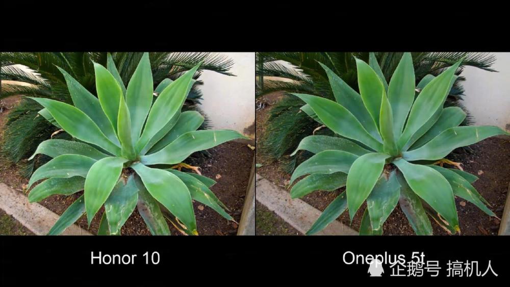 10组对比照看出华为荣耀10与一加5T拍照差距