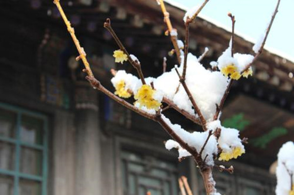 苏轼鲜为人知的古诗8首,能读过三首就算知识渊