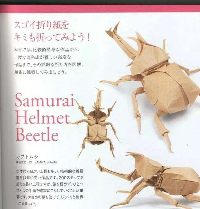 折纸图解神谷哲史独角仙带翅膀 巨大犀金龟 大力甲虫 看点快报