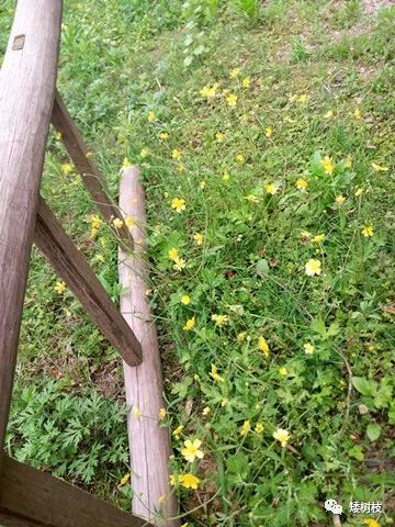 有一种友情叫朋友圈友情