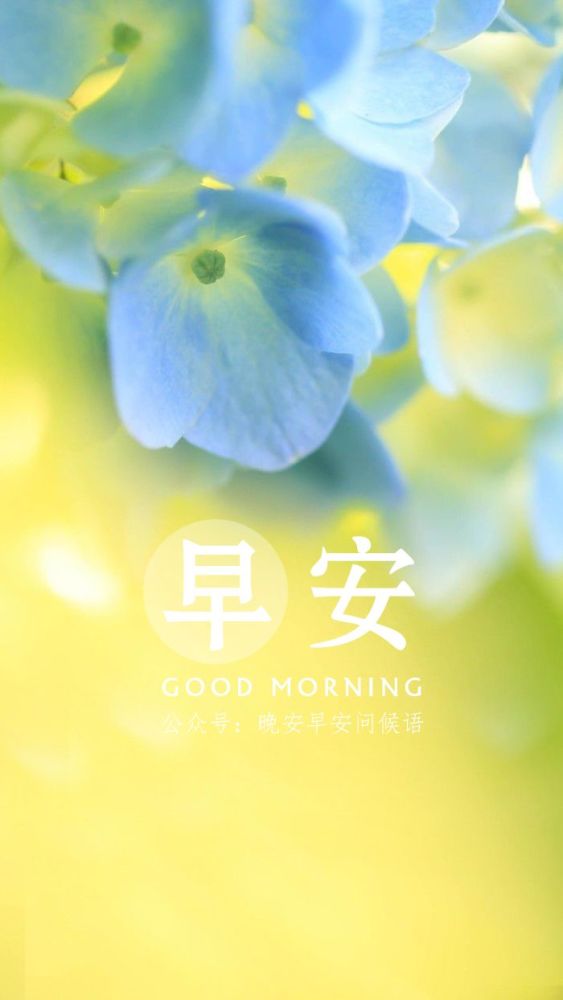 早安问候语正能量 唯美早安句子