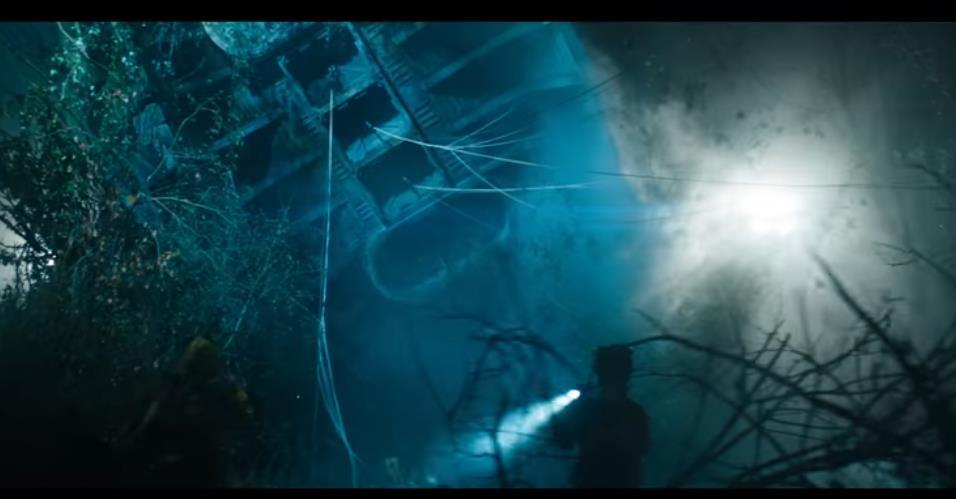 ȷϹǱѡе Һ֧Ԥ湫