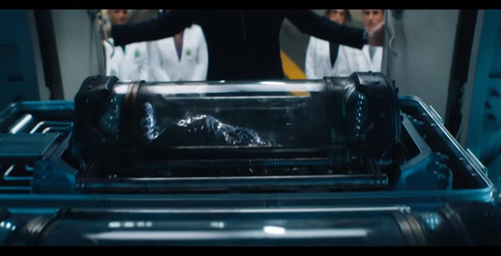 ȷϹǱѡе Һ֧Ԥ湫