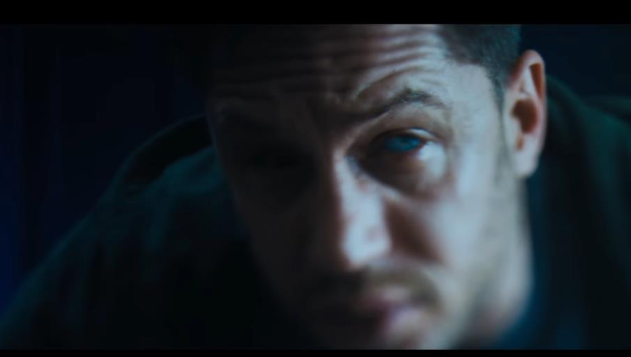 ȷϹǱѡе Һ֧Ԥ湫