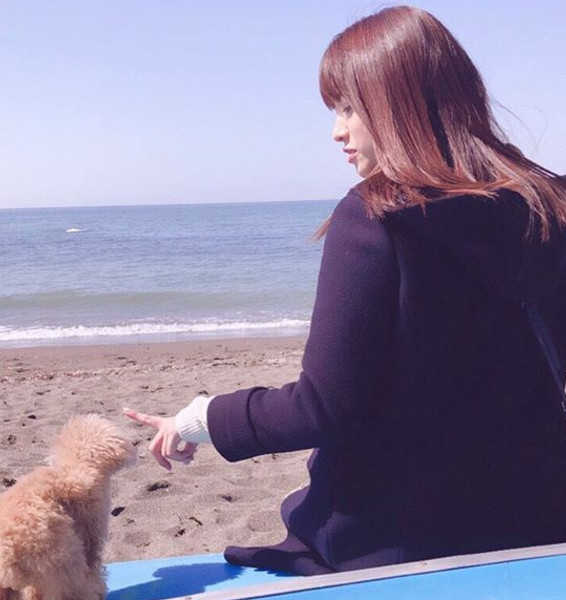 深田恭子带爱犬出外景 海边合影萌化众人 看点快报