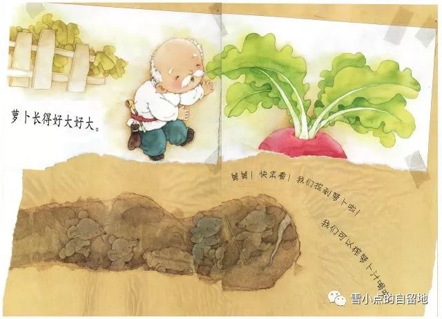 小老鼠把传统的拔萝卜故事书一页一页撕下来,贴在包装纸上,并添上了