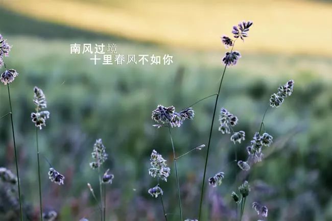 微信朋友圈写到心坎里的人生哲理短句 人生感悟哲理一